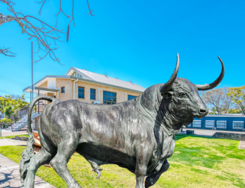 Casting Stronger Standing Popular Brass Bull Statue for Sale