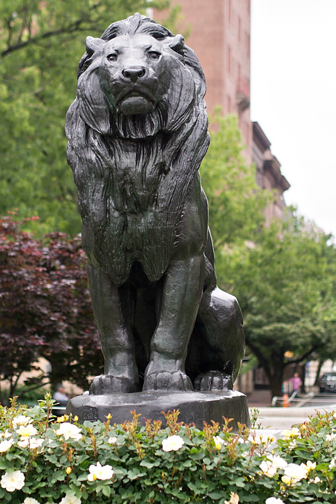 lion statues copper