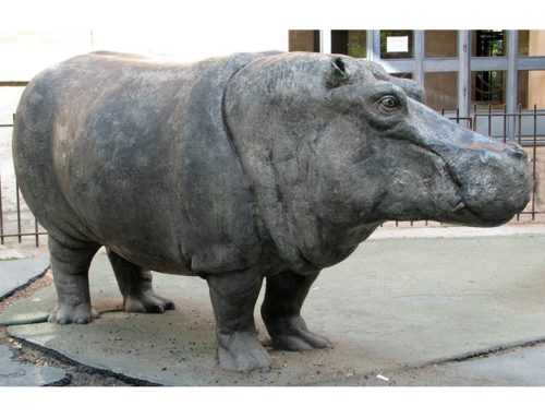 Large Outdoor Garden Decoration High Quality Bronze Hippo Statue