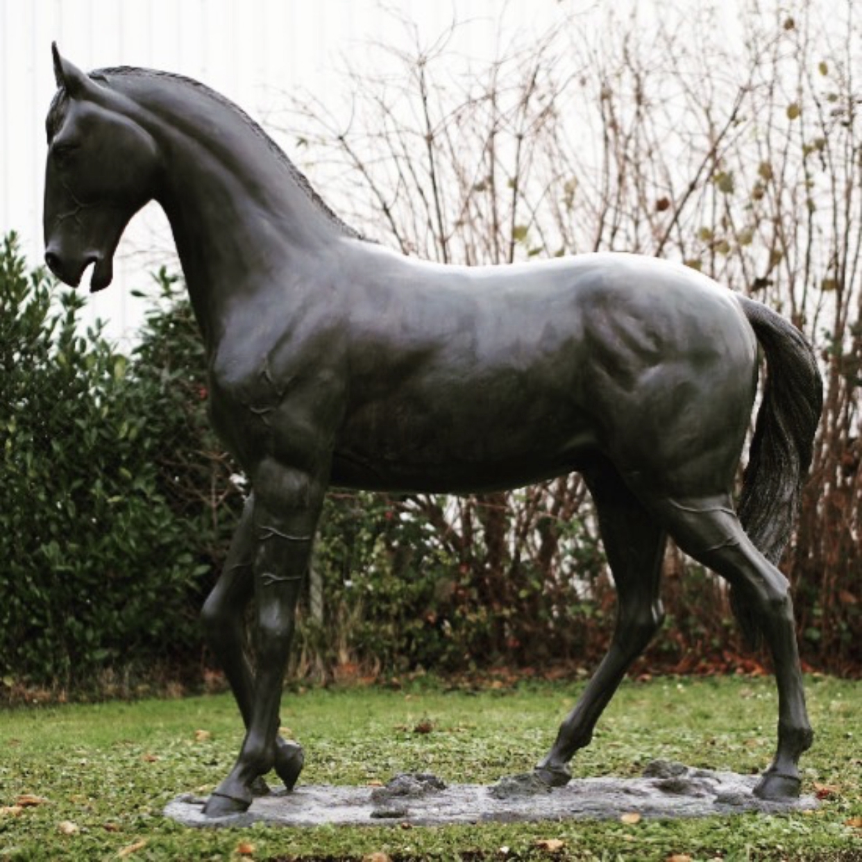 horse anathomy sculpture