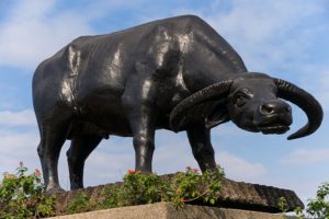 strong buffalo statue