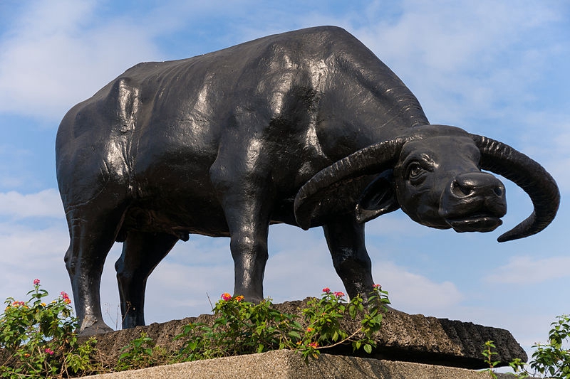 strong bronze buffalo statue