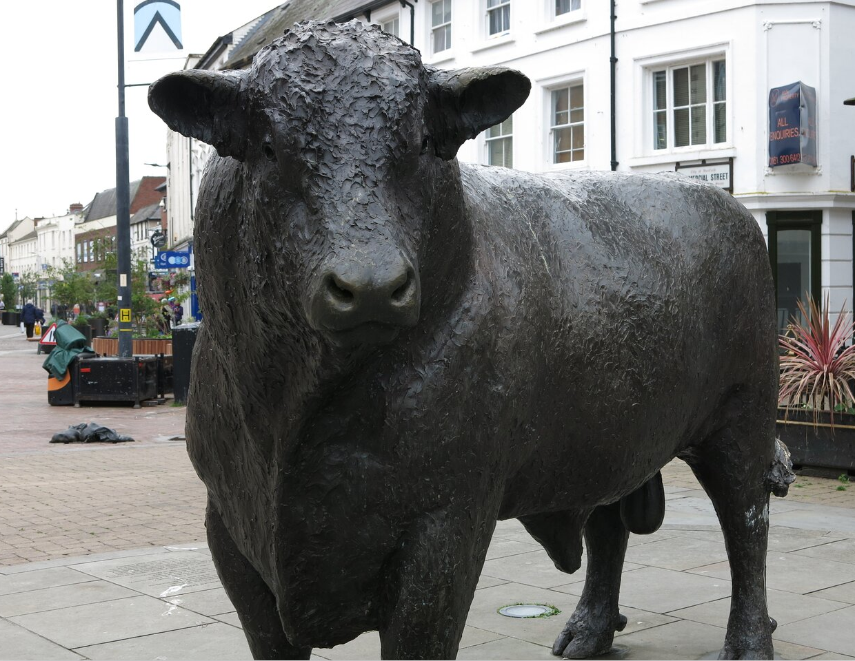 outdoor cow sculpture