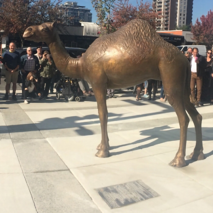 Garden bronze camel sculpture