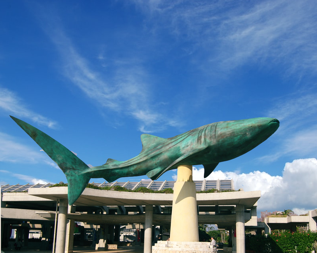 Abstract Large Bronze Outdoor Mako Shark Sculpture