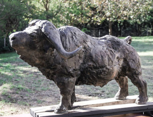 Best Selling Cape Buffalo Bronze Sculpture For Indoor Decoration