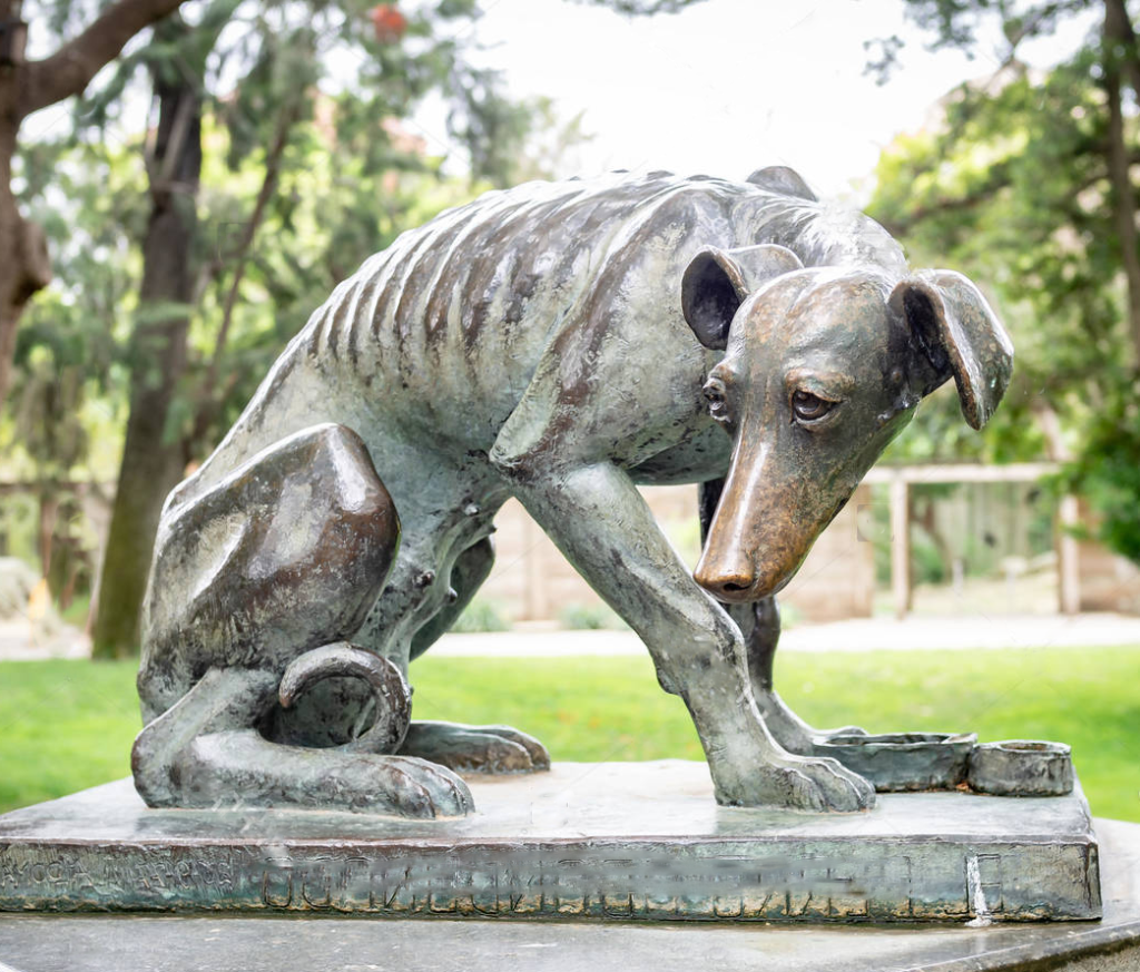 Bronze Outdoor Garden Art Smartest Dog Breeds Statue for Dog Show