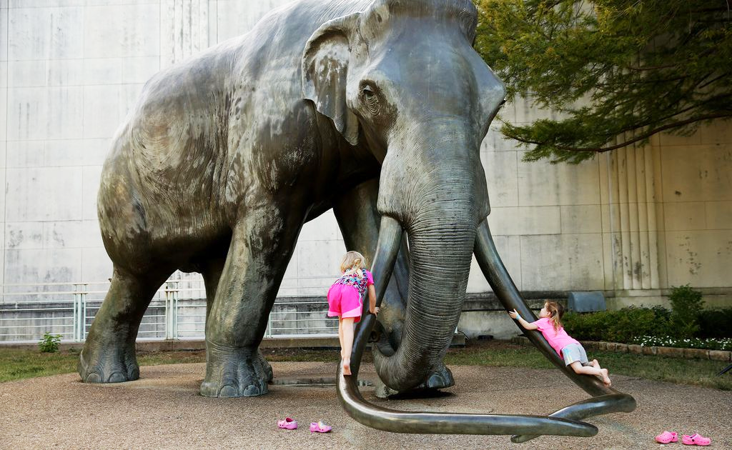 Large Outdoor Popular Bronze Woolly Mammoth Sculpture