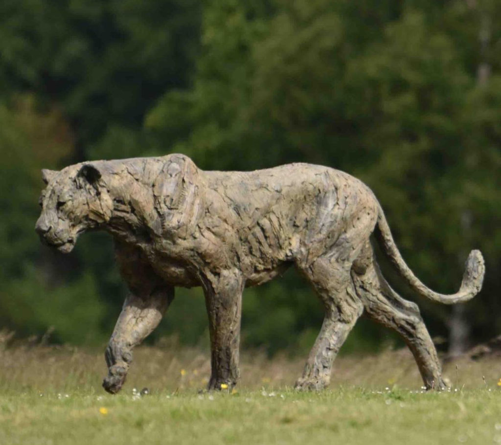 Outdoor Animal Lioness Life Size Bronze Sculpture by Hamish Mackie