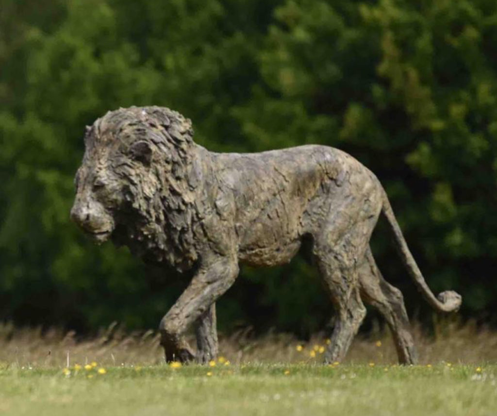 Life Size Lion Bronze Animal Ornament Sculpture by Hamish Mackie