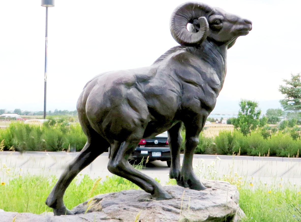 Animal statue of bighorn sheep