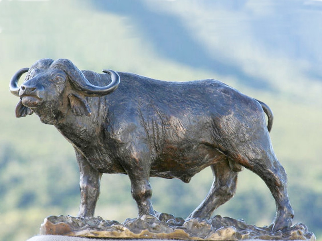 Bronze African Buffalo Statue