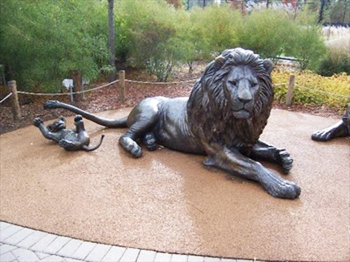 Bronze animal statue of barbary lion