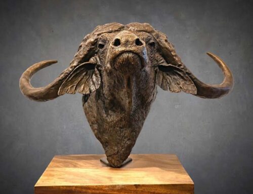 Home Indoor Creative Decoration Bronze Cape Buffalo head sculpture