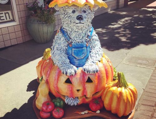Holiday Decoration Pumpkin Bear Life Size Animal Resin Statue