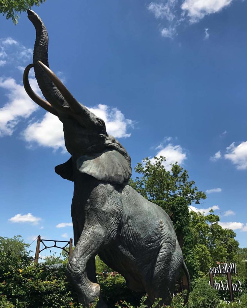 Handmade Art shop hot sale custom bronze elephant sculpture for park