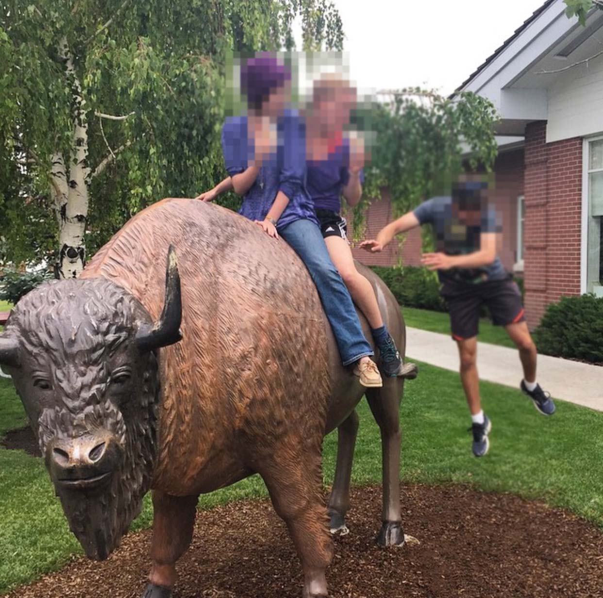 Large Handmade Outdoor Bronze Bison Statue