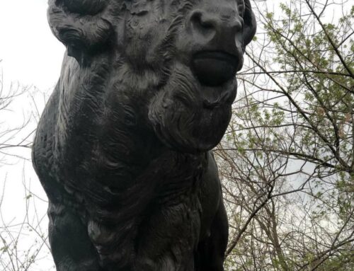 Modern Large Outdoor Bronze Bison Statue