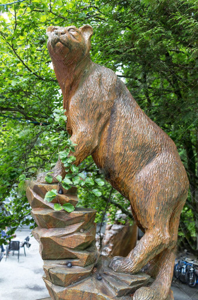 Large Outdoor Art Bronze Cougar Statue for Sale