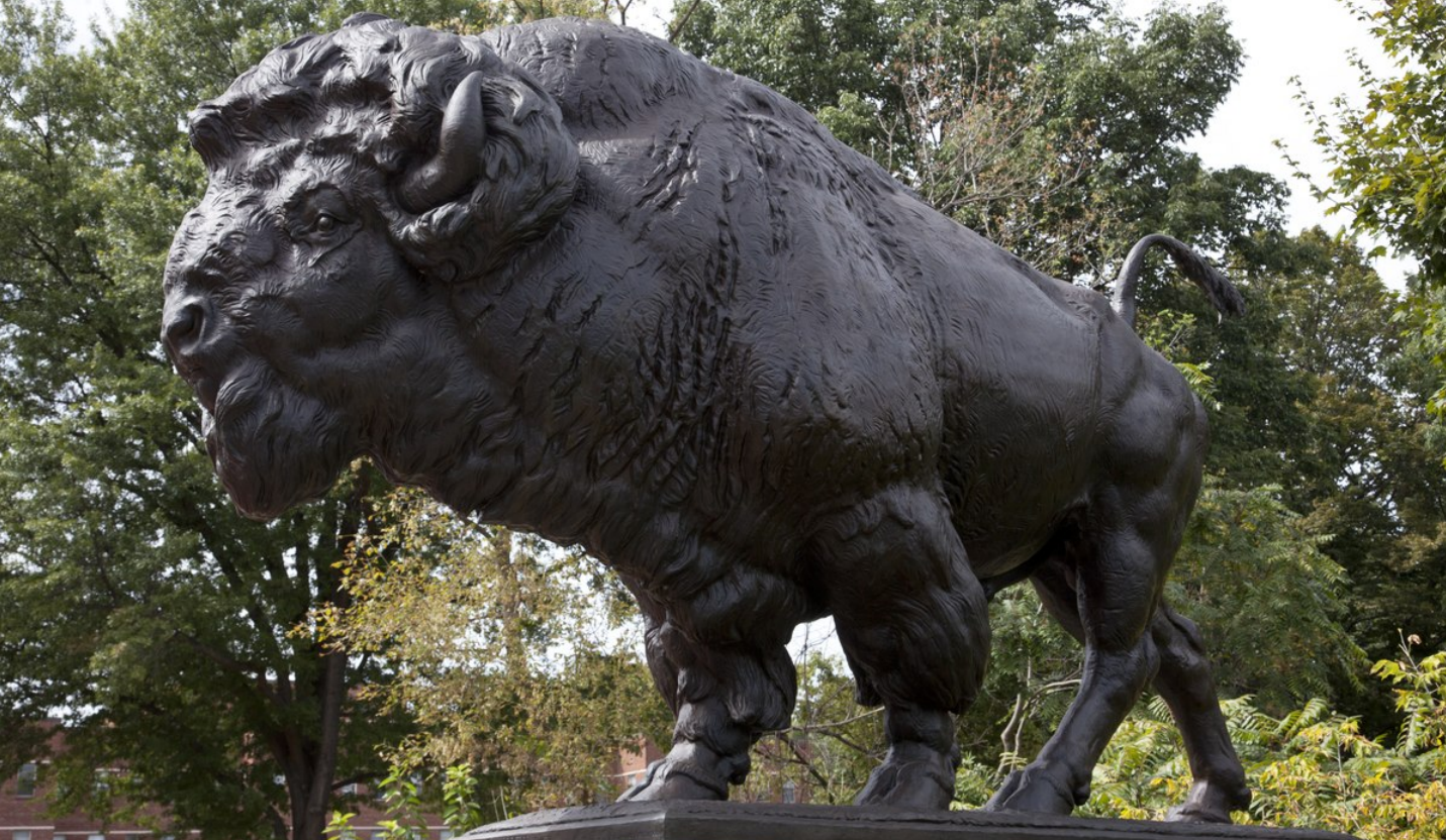 Life size bison statues for sale