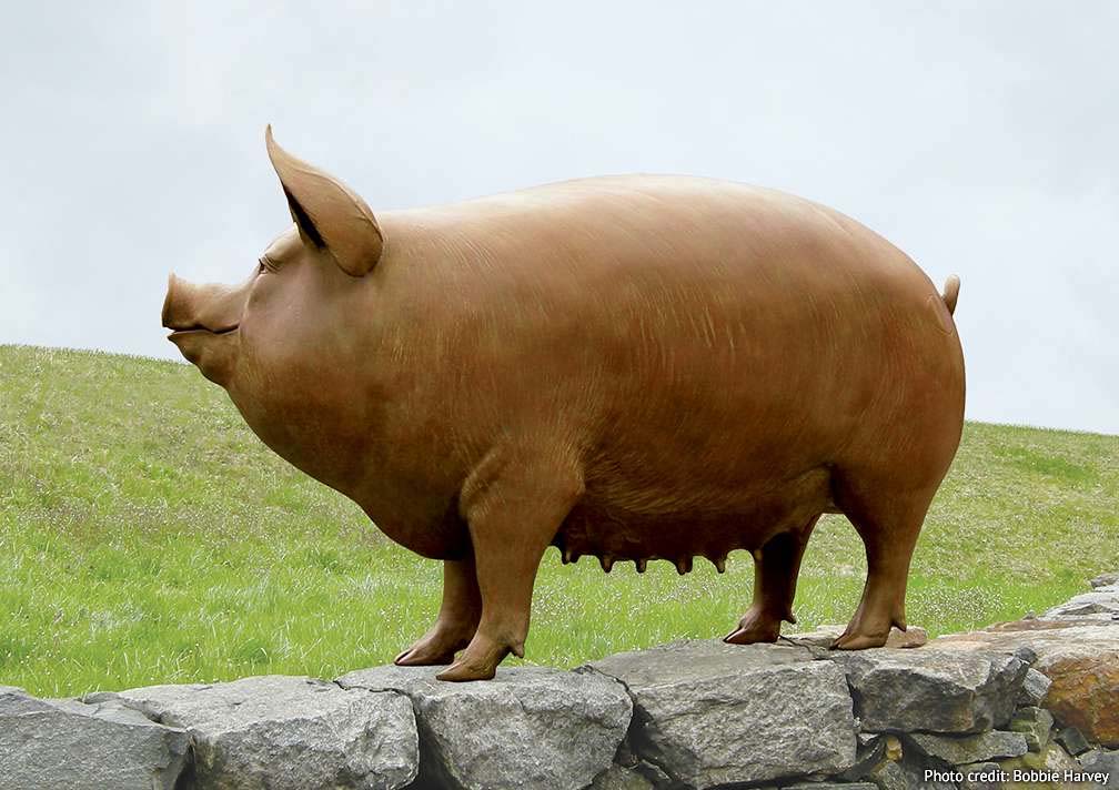 Large Outdoor Life Size Bronze Pig Garden Ornament Sculpture