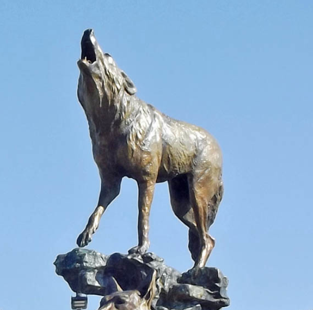 Life Size coyote bronze statue for outdoor lawn ornaments