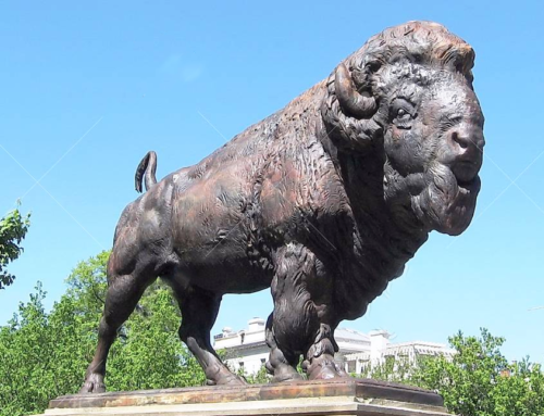 Large Popular Garden Decoration Bronze Bison Statue