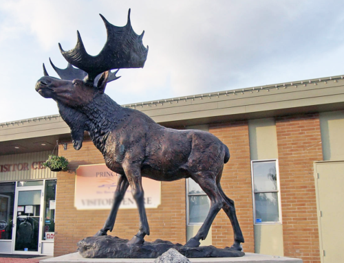 Outdoor Art Decoration Majestic Graceful Popular Custom Popular High-Quality Bronze Wild Noble Moose Sculpture