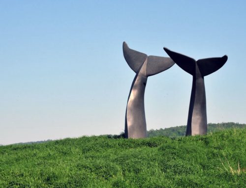 Large Outdoor Land Decor Bronze Modern Whale’s Tails Sculpture