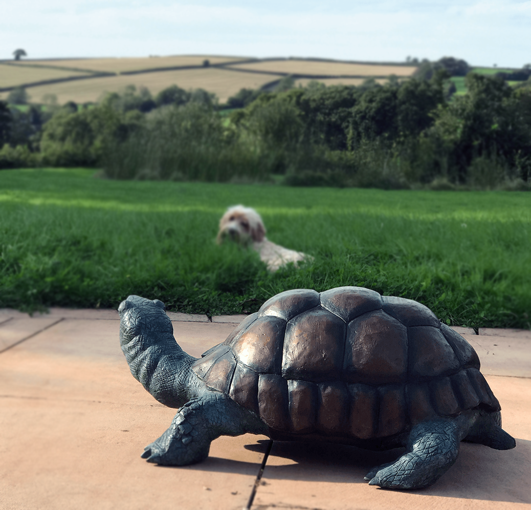 bronze tortoise garden statue