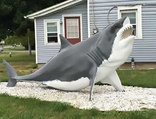 Contemporary Good Selling Fiberglass Bull Shark Sculpture