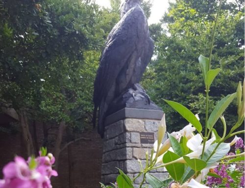 Outdoor Bronze Garden Life Size Bald Eagle Statue