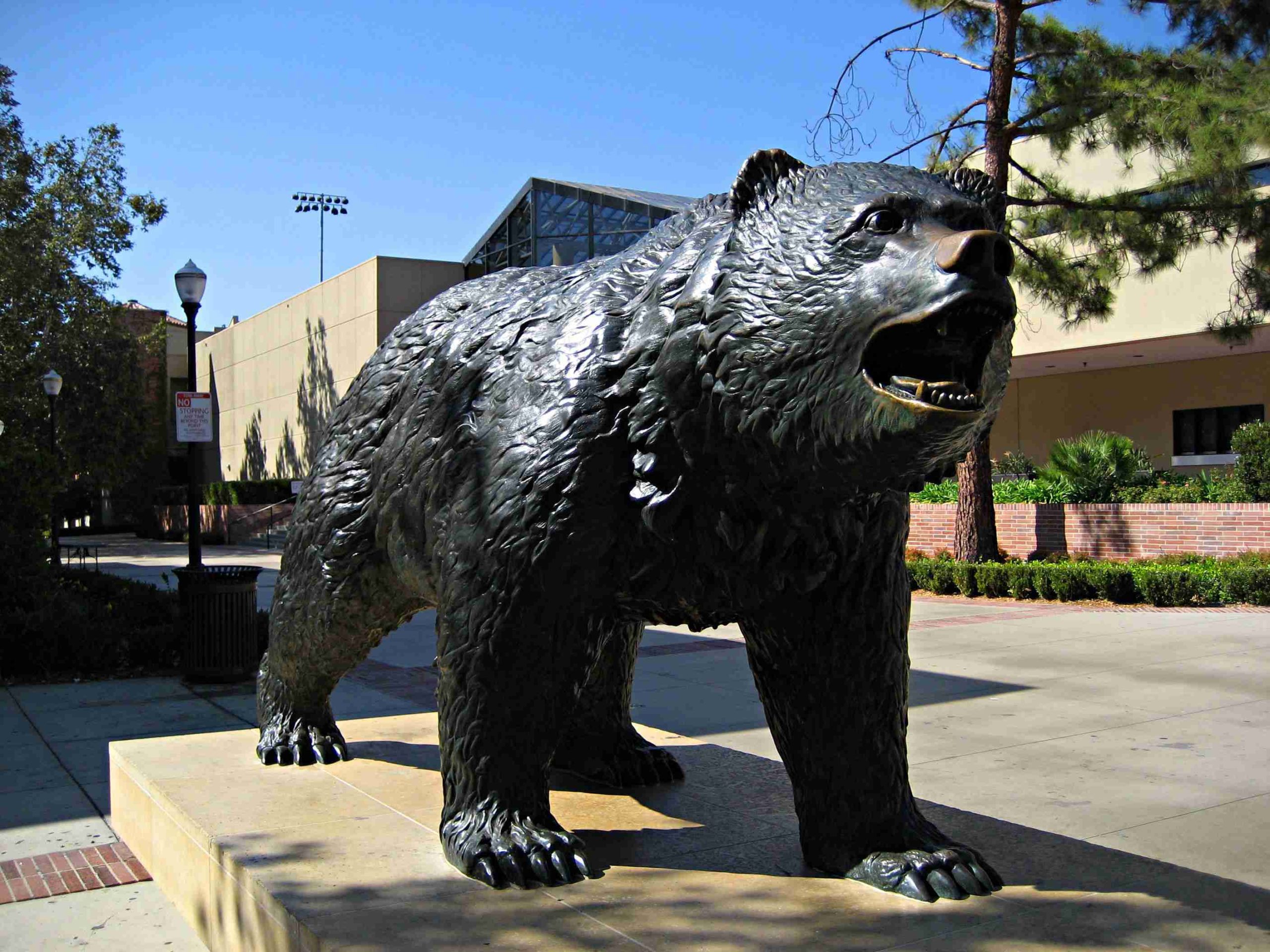 Bronze Black Bear Statue Outdoor