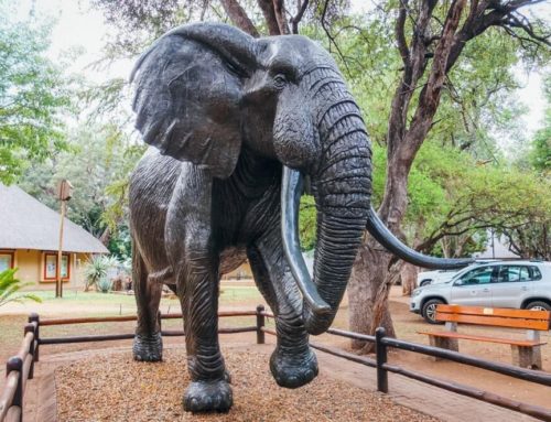 Large Outdoor Bronze Giant Standing Elephant Garden Decor