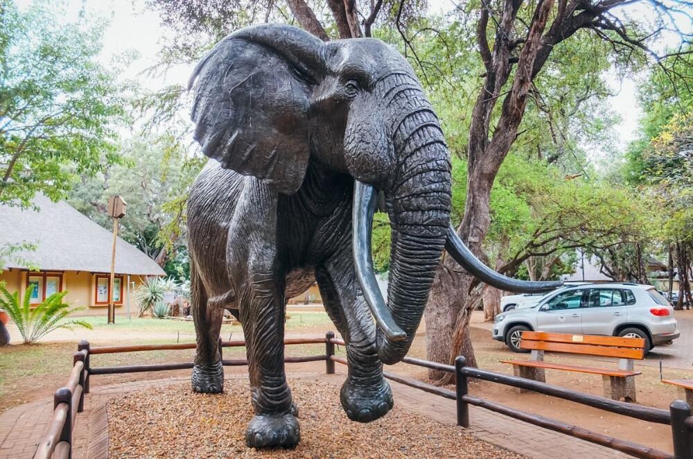 elephant garden decor
