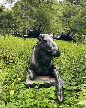garden lying moose statue