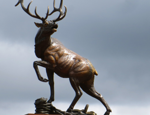 Large Outdoor High Quality Bronze Art Brut Animal of Elk Sculpture