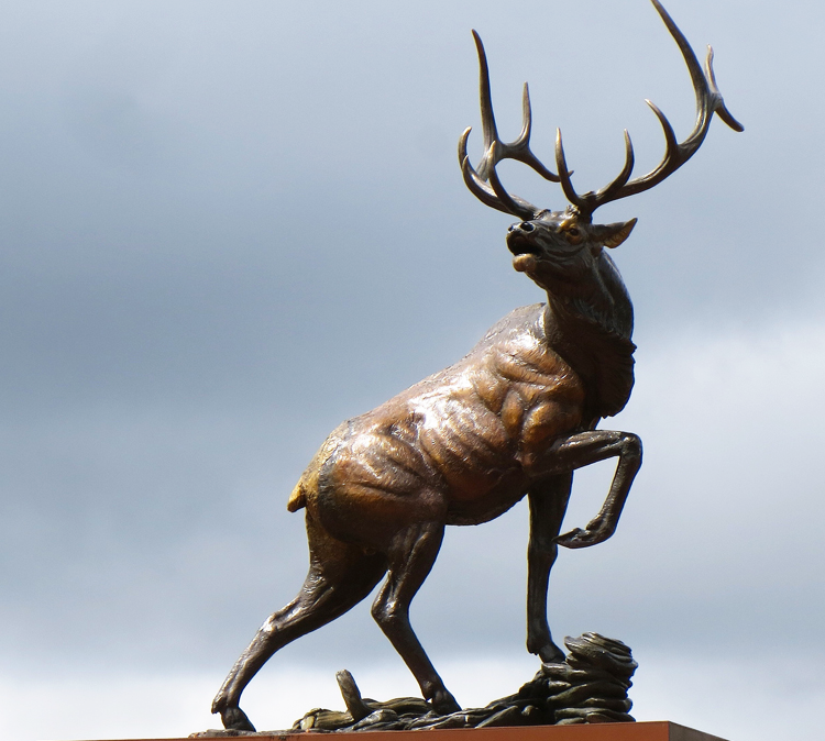 bronze elk sculpture for decor