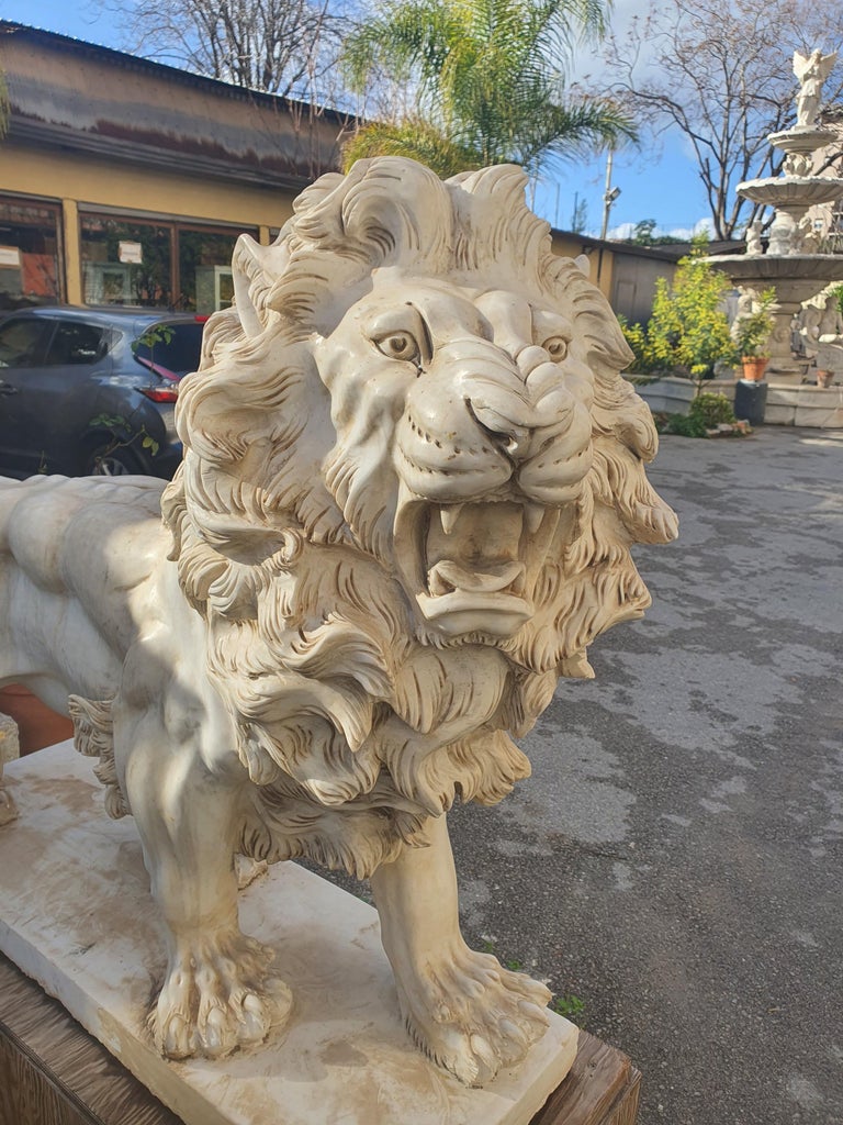 shocked stone lion statue 2
