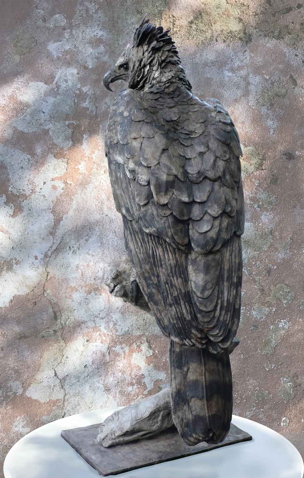 outdoor harpy eagle sculpture