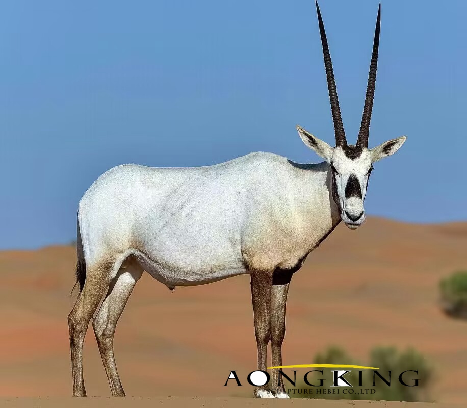Arabian oryx sculpture for sale